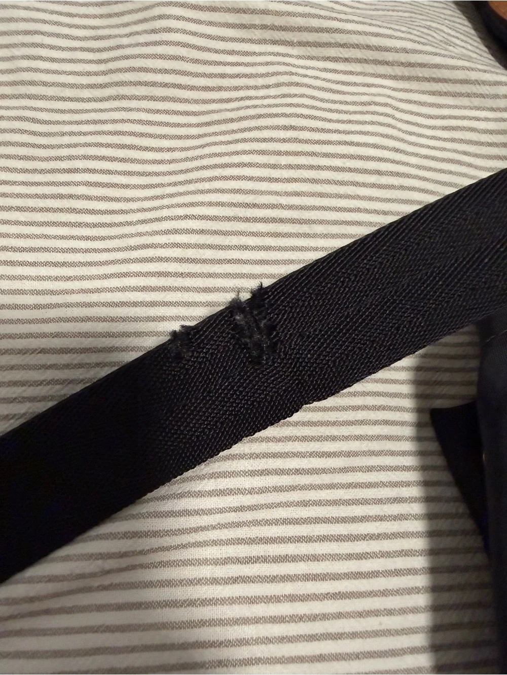 Burberry Black Backpack with Brown Leather Accents